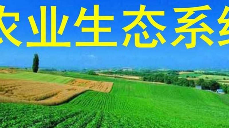 生态农场投资预算，如何科学规划？**