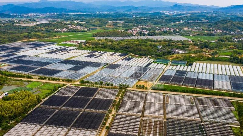 农民专业合作社章程不能照搬模板，这些适用范围得搞清楚