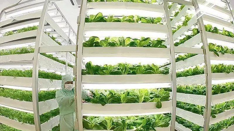 农民专业合作社：种植业发展的新引擎**