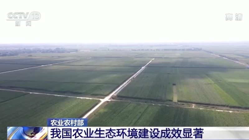 绿色食品认证标识查询指南：如何快速找到权威信息