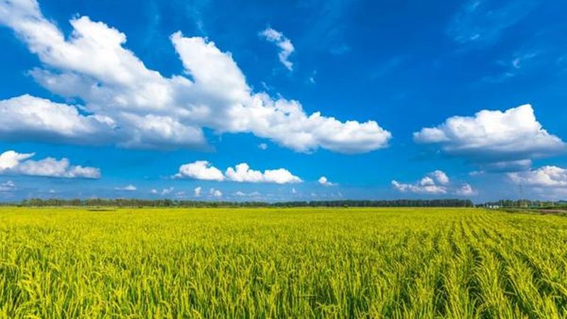 采摘价格背后的休闲农业基地运营逻辑