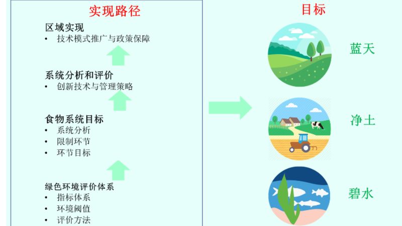 揭秘绿色食品公司排名背后的考量因素