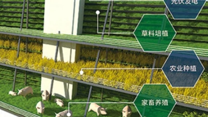 农民专业合作社如何借助财政扶持政策提升发展**