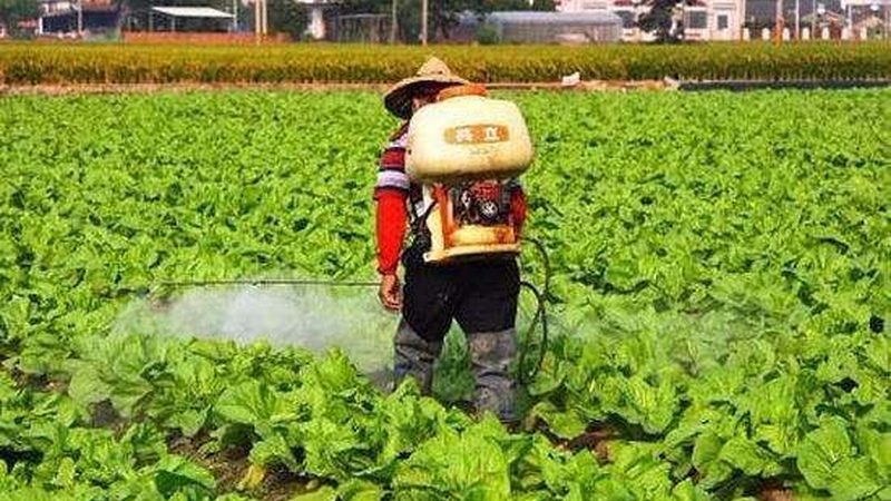 水溶肥真假辨别方法