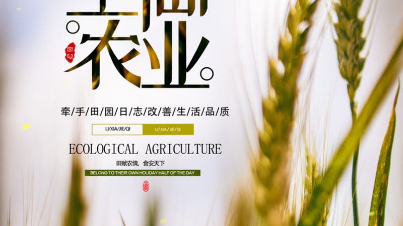 农业休闲园区规划模型图：打造生态旅游新亮点**